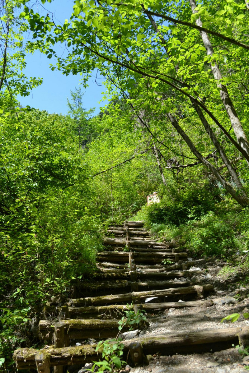 関東近郊でオススメの日帰り登山 棒ノ折山