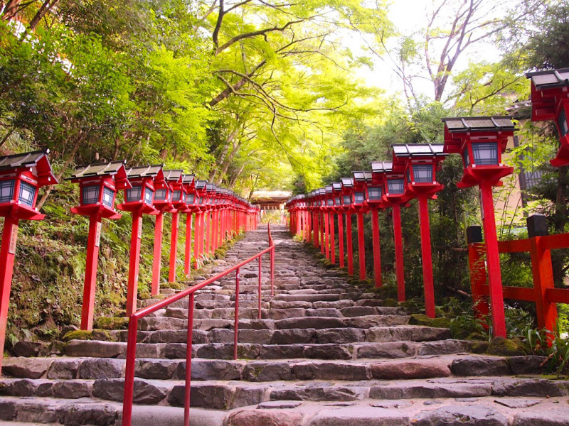 夏の京都で「青もみじ」を堪能！ 水占みくじで有名な貴船神社