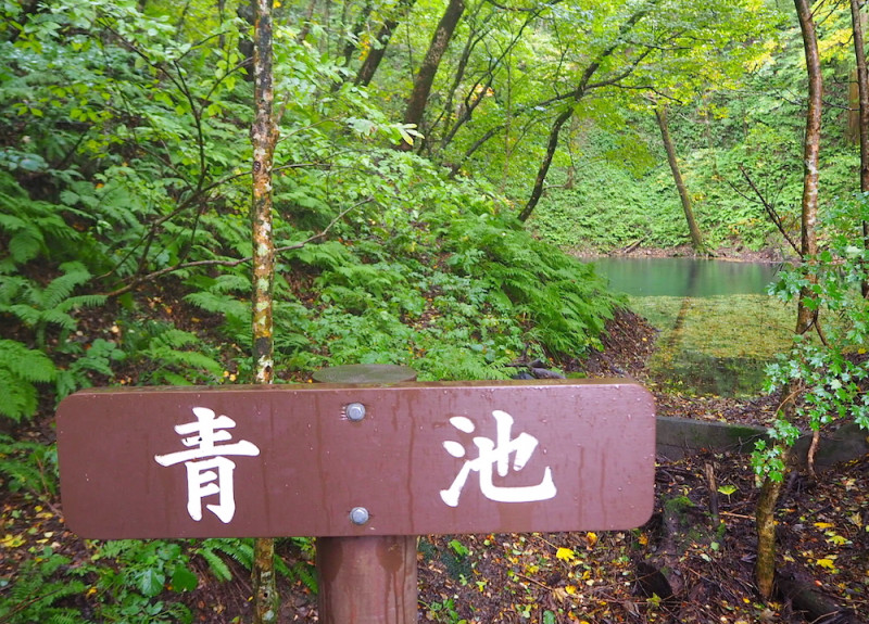 青森 もののけ姫の舞台 白神山地 を歩く 初心者におすすめの十二湖散策コース