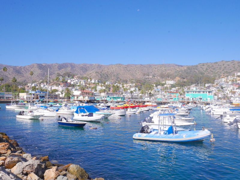 ロサンゼルスから日帰りで行けるリゾートアイランド「サンタ・カタリナ島」