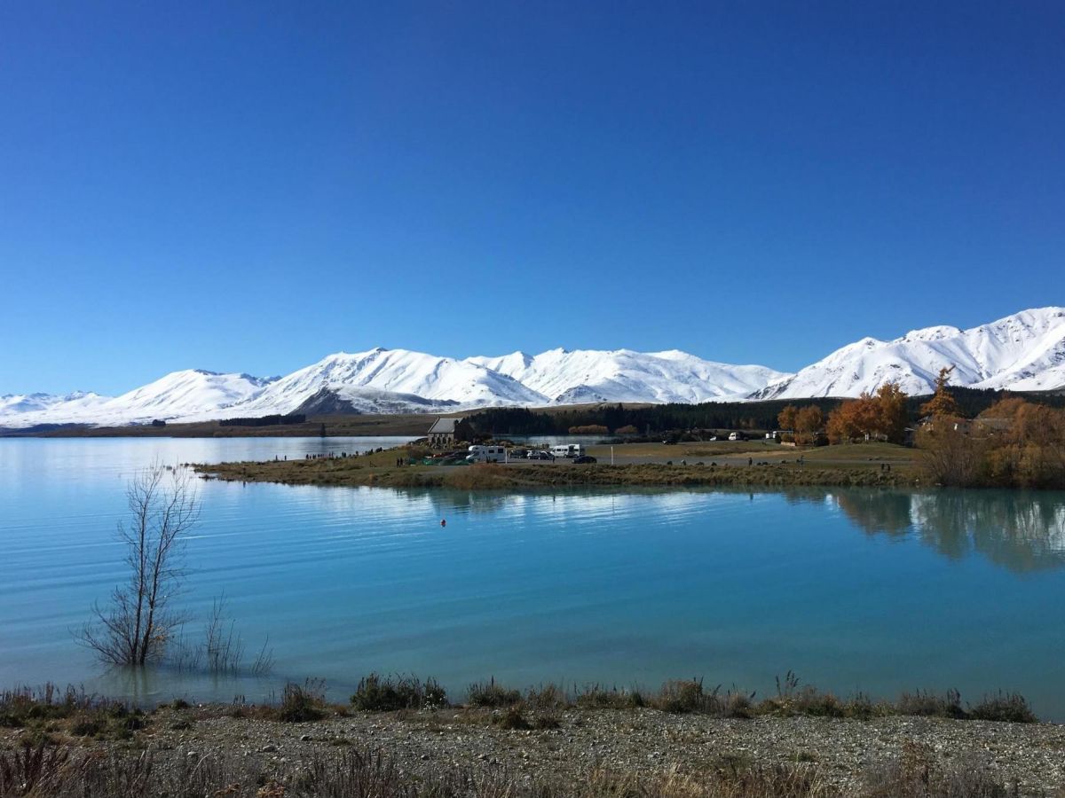 ニュージーランド 表情を変える湖 テカポ湖