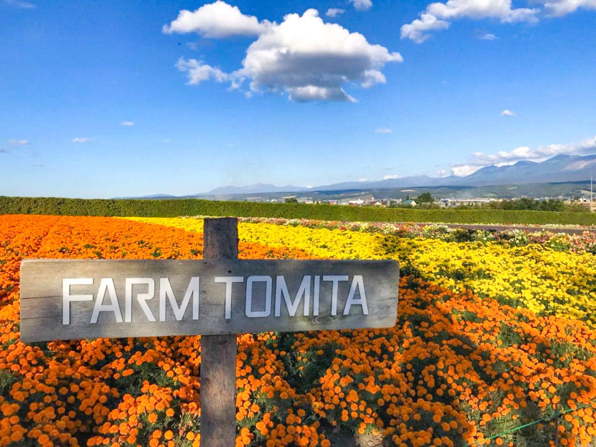 北海道の大自然でリフレッシュ 富良野 美瑛の秋の見どころ ガジェット通信 Getnews