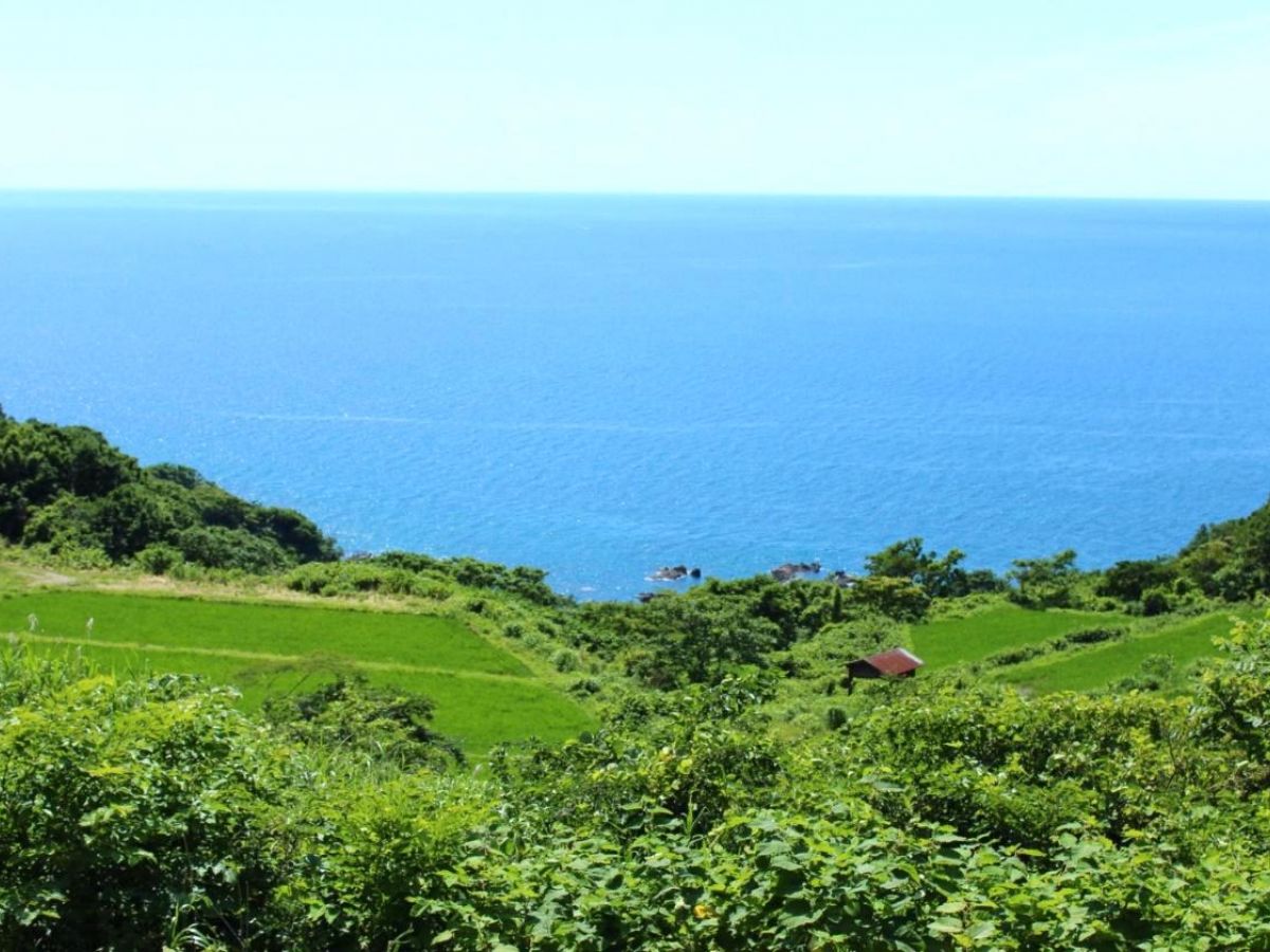 山形県鶴岡市 日本海を眼下に望む 暮坪の棚田 へ ガジェット通信 Getnews 山形県鶴岡市 日本海を眼下に望む 暮坪の棚田 へ ガジェット通信 Getnews