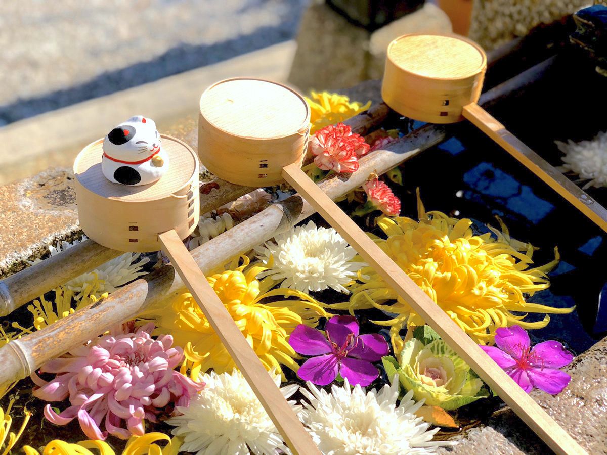 【阪急沿線】素敵な御朱印がいただける水堂須佐男神社と周辺街歩き♪