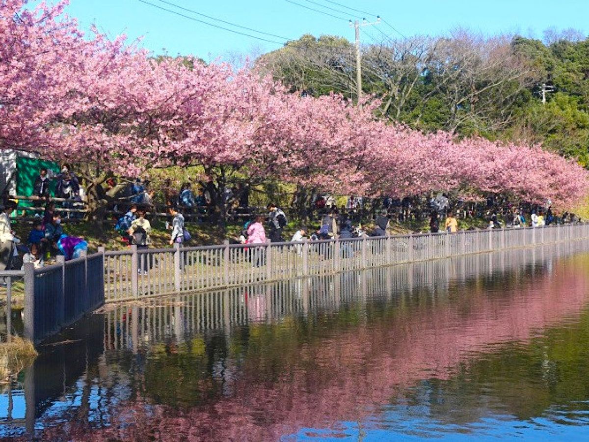 2月に行きたいお出かけスポット10選! この季節だけの絶景を見に行こう