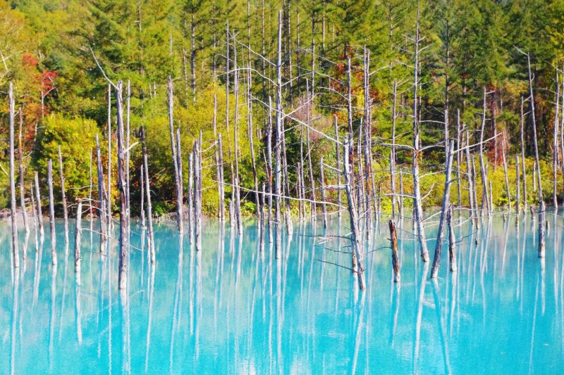 心洗われる風景を見に行こう 日本各地の美しい池