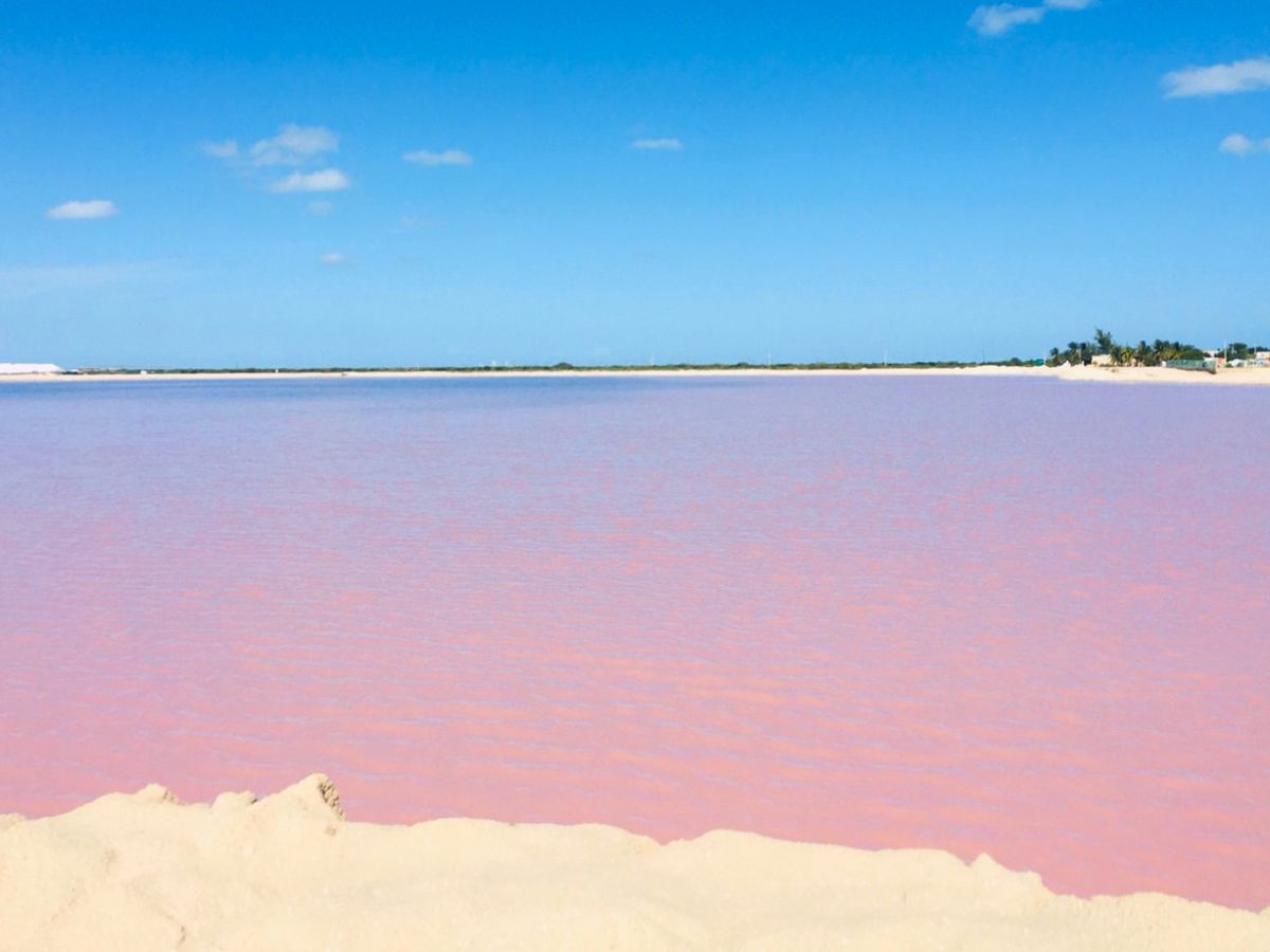 ピンクの湖にピンクモスク 世界各地の ピンクの絶景 5選