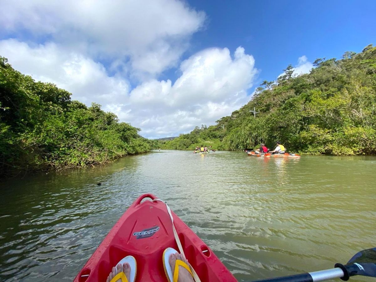 沖縄本島最大級のマングローブ林 慶佐次湾ヒルギ林 をカヌーで探検