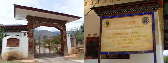 初ブータンの人におすすめ。ブータンの歴史と文化を感じる観光スポット（パロ・ハ編）