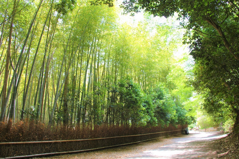 関西 大阪から日帰り旅行 お出かけスポット 観光コースおすすめ12選