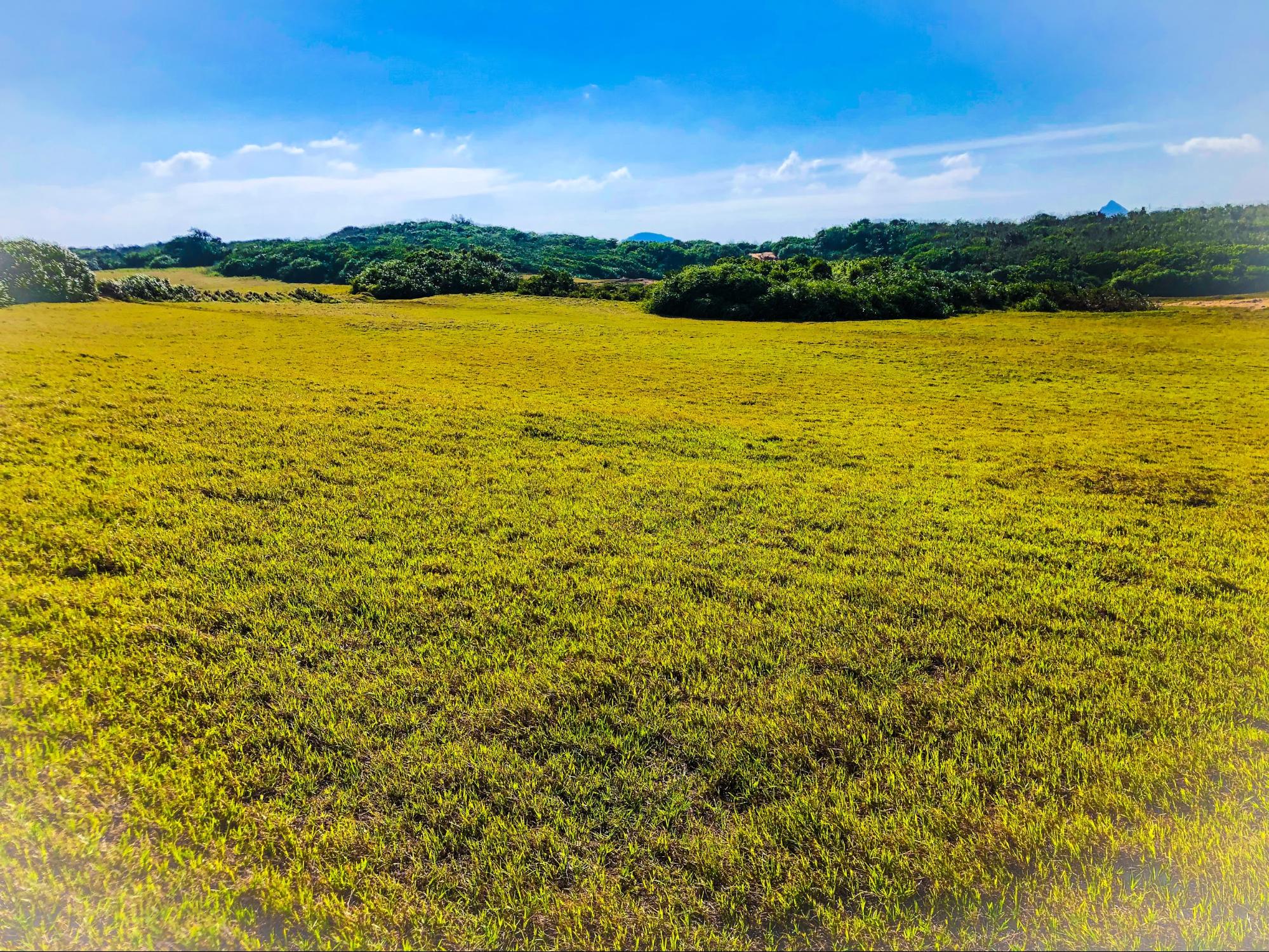 台湾 何もないからこそ美しい大草原 水蛙窟大草原