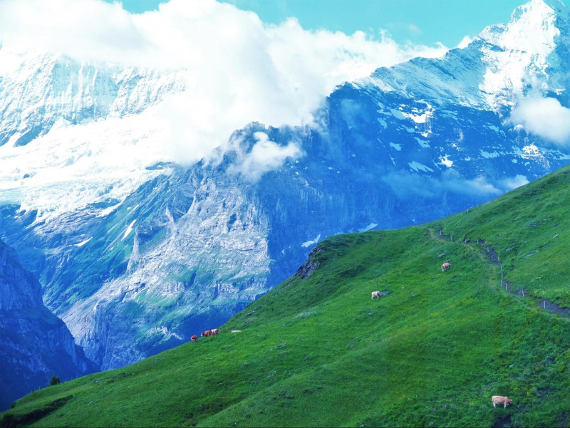 スイス 絶景を見ながらアクティビティ体験ができる グリンデルワルド フィルスト