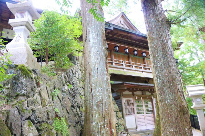 奈良県天川村の新観光名所 てんかわ天和の里 でバーベキュー 川遊び