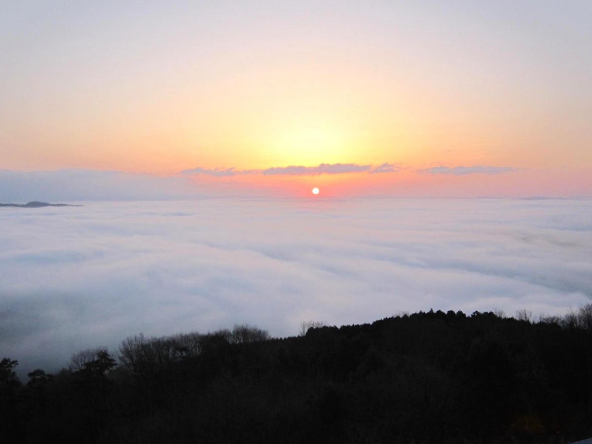 日本国内の 雲海 スポット4選 幻想的な絶景を見にいこう