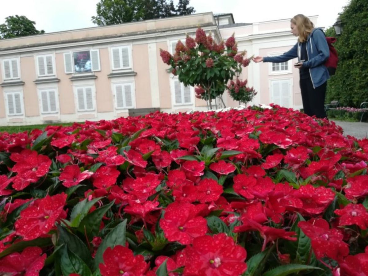 オーストリア 美しい草花が植えられた癒しの空間 ミラベル庭園