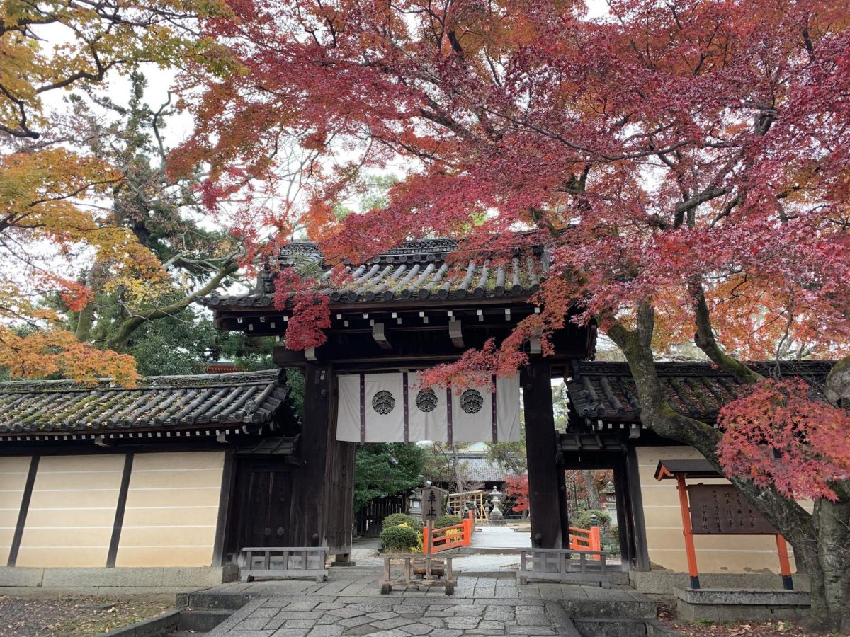 京都 願い事が叶う石がある神社 今宮神社