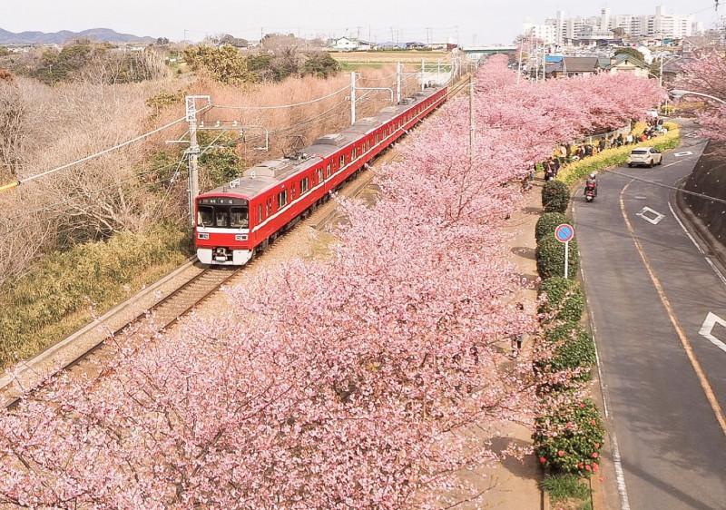 関東 3月が見頃 春を感じるお出かけスポット5選 ガジェット通信 Getnews