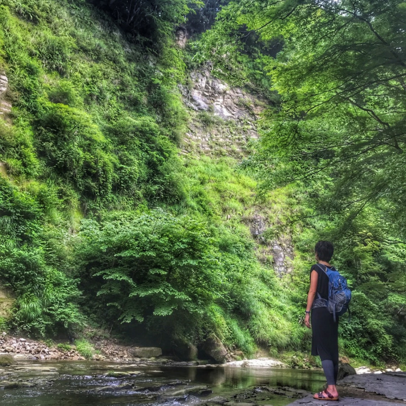 千葉 マイナスイオンを浴びながらの滝めぐりが楽しめる 養老渓谷