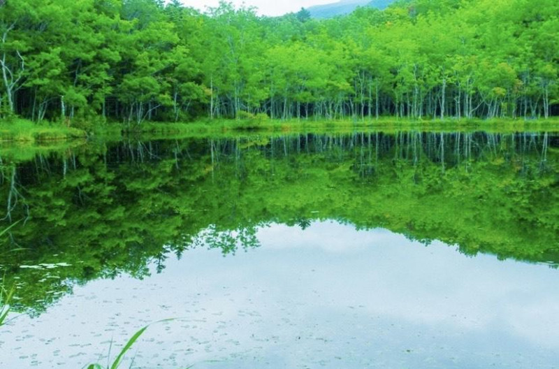 全国 美しい自然に心安らぐ 緑の絶景 特集 ガジェット通信 Getnews