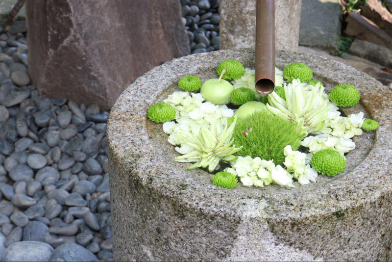 カラフルな花が水に浮かぶ 花手水 が美しい神社仏閣まとめ ガジェット通信 Getnews