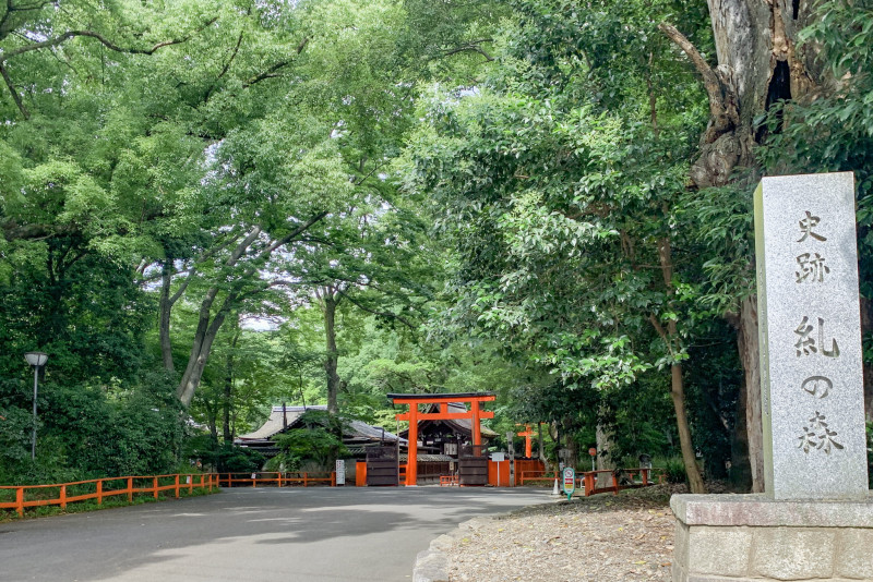 【京都】有名スポットも穴場スポットも巡る！ 欲張り半日観光プラン