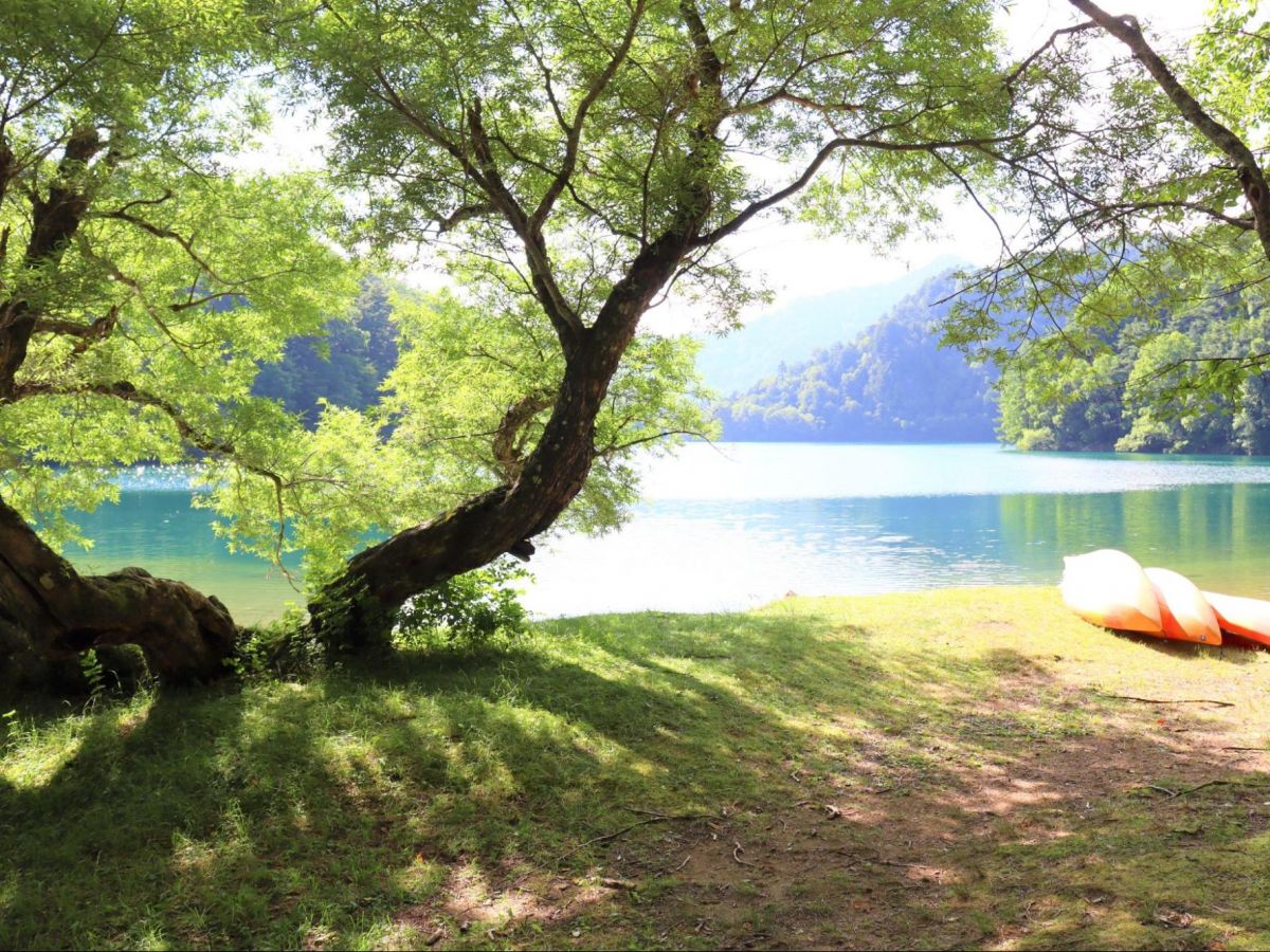 【群馬】夏の片品村は絶景と美味しいものだらけだった!