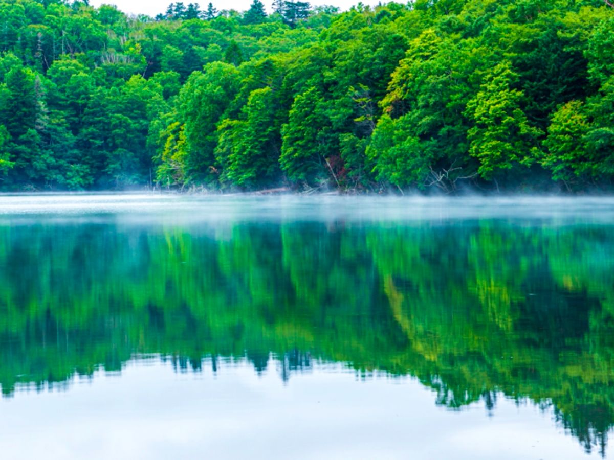 美しすぎる神秘の湖『オンネトー』は五色に輝く湖だった！？