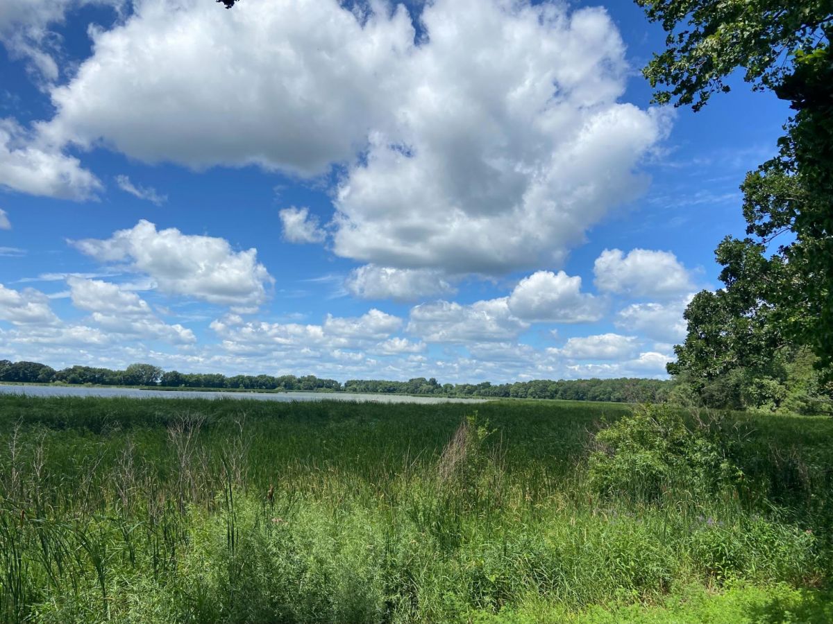 【ミネソタ州】Rice Lake State Parkでハイキング！美しい湖を楽しもう
